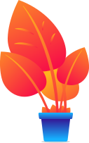 Software Developement Services